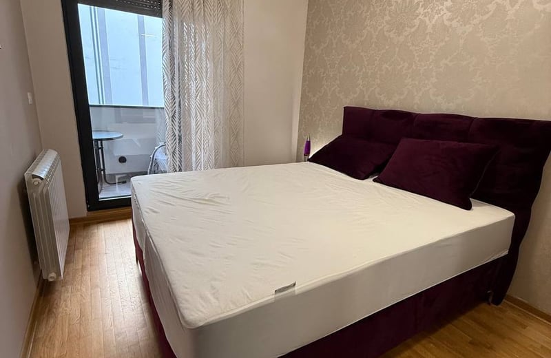 Location d’un appartement cosy de 2 pièces, 48 m², Dorćol, Belgrade, Serbie